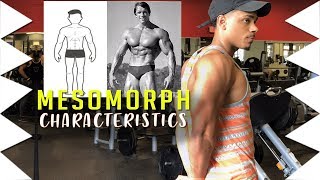 MESOMORPH CHARACTERISTICS  WHAT YOU MUST KNOW [upl. by Llerdnad]