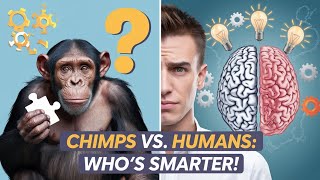 Chimpanzees Are WAY More Intelligent Than You Think [upl. by Aisanahta42]