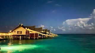 Ozen Reserve Bolifushi Maldives 4K [upl. by Nomael]