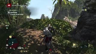 Assassins Creed 4 Elite Mortar Storage Plan Location [upl. by Silenay]