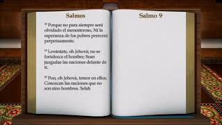 Salmos Libro Completo Biblia Hablada Reina Valera 1960 [upl. by Kelby]