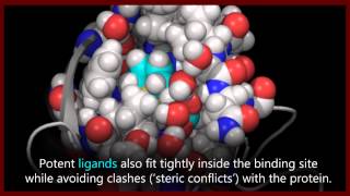 A basic introduction to drugs drug targets and molecular interactions [upl. by Adams712]