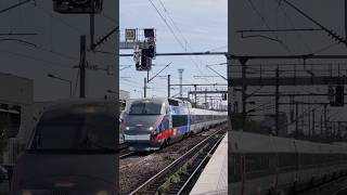 TGV Réseau pelliculage spécial coupe du monde de rugby 🏉 tgv rugby [upl. by Sixel]