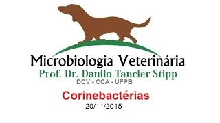 Micro Vet 20151 Aula 13  Corinebactérias [upl. by Belda755]