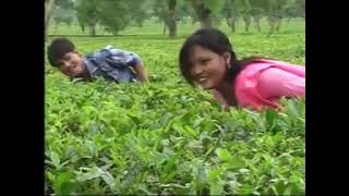 sona nwng angni jiuni superhit old Bodo music videoRAJIB AND SANGINA [upl. by Hannahc835]