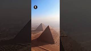 ¿Qué hace ahí Perrito es captado en la cima de la gran Pirámide de Giza en Egipto [upl. by Kola]