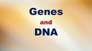 Genes and DNA Short Explanation [upl. by Enitsed245]