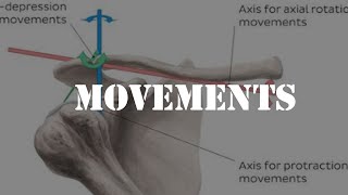 Movements of acromioclavicular joint [upl. by Fonz]