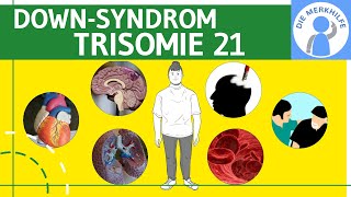 Down Syndrom  Trisomie 21  Definition Merkmale Ursachen amp Formen amp Unterscheidungen  Genetik [upl. by Natanoj]