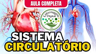 SISTEMA CIRCULATÓRIO  AULA COMPLETA  SISTEMA CARDIOVASCULAR [upl. by Ellehcan206]