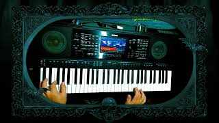 Белые лебеди cover Yamaha PSR SX900 [upl. by Naara404]