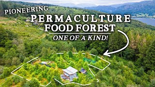 Incredible Permaculture Food Forest Project in Breathtaking Landscape [upl. by Lrat296]