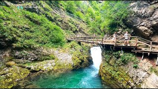 4K Day 5 Vintgar Gorge  Slovenia  Alps road trip [upl. by Ronyam]