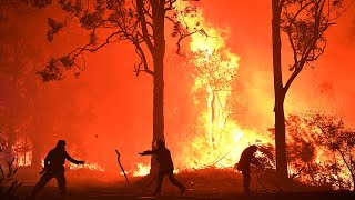 Terrifying moment crowning bushfire sets canopy ablaze in New South Wales [upl. by Atarman949]