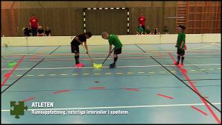 Innebandy för barn  Träning på grön nivå [upl. by Nonnelg697]