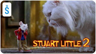 Stuart Little  Stuart y Pelusa [upl. by Llewen]