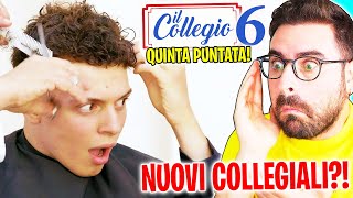 IL COLLEGIO 6 REAZIONE ALLA QUINTA PUNTATA Nuovi ingressi 😱 [upl. by Okajima]