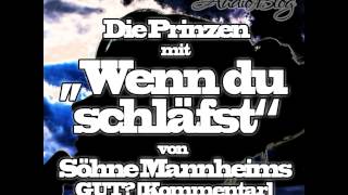 Die Prinzen mit quotWenn du schläfstquot von Söhne Mannheims GUT Kommentar [upl. by Rodd]