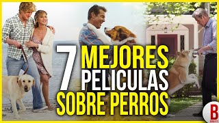 LA LLAMADA DE LO SALVAJE  Clip quotNuevo perro líderquot  YA EN CINES [upl. by Mohkos]