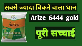 arize 6444 gold paddy seed  6444 gold dhan price  dhan ki top varieties 2022 6444dhan [upl. by Ainud794]