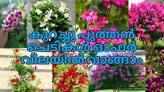 🥰💐 പുത്തൻ പുതിയ ചെടികൾ മാത്രം ഓൺലൈനായി വാങ്ങാം reels garden yourgarden [upl. by Kristin]