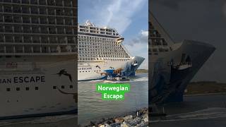 Norwegian Escape departing Port Canaveral March 9 2024 [upl. by Naniac]