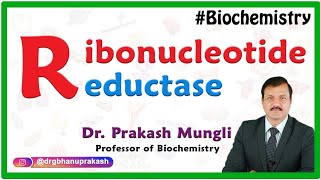 Ribonucleotide Reductase  Medical Biochemistry by Dr Prakash Mungli [upl. by Goldsworthy712]