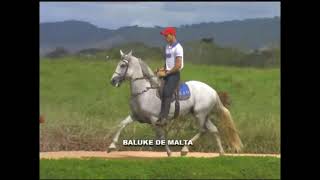 baluke de Malta [upl. by Ylicec]