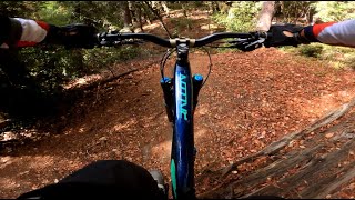 Demo to Aptos  Part 1  Bacon Trail  MTB [upl. by Anaicilef92]