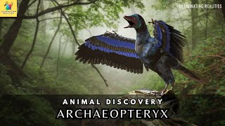 Archaeopteryx Bridging Worlds  The Fossil That Rewrote History [upl. by Goodrow]