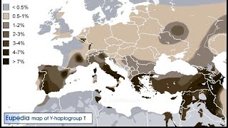 Haplogroup T Mystery 🧐 [upl. by Ydneh]