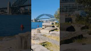 MustSee Sydney Harbour Walk [upl. by Readus727]