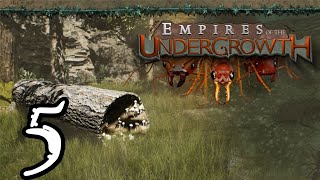 Empires of the Undergrowth  5  quotSubjugation with Challengequot [upl. by Nnaaras]