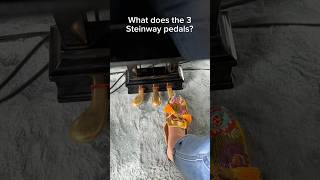 Steinway 3 pedals function 😊 steinway [upl. by Ibib]