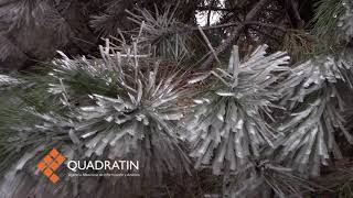 Bajas temperaturas cambian ligeramente paisajes en zonas del Ajusco [upl. by Aig]