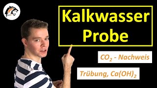 Kalkwasserprobe CO2 Nachweis amp Wassernachweis  Chemie Tutorial [upl. by Odnomar959]