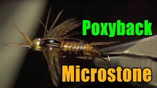 Poxyback Microstone Stonefly Nymph Fly Tying  Mike Mercer Fly Pattern [upl. by Anail]