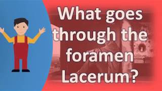 What goes through the foramen Lacerum   Better Health Channel [upl. by Amihc]