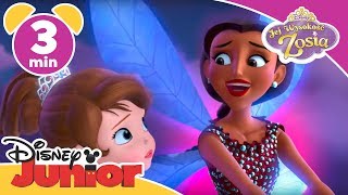 Jej Wysokość Zosia  Świąteczna przygoda  Oglądaj w Disney Junior [upl. by Ynnhoj]