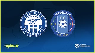 2024 NPLMVIC Oakleigh Cannons FC v Avondale FC [upl. by Marlette]