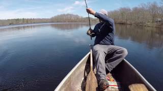 Spring fishing for largemouth bass in a southern New England herring pond [upl. by Drofnelg400]