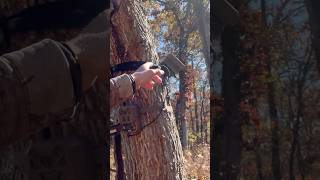 Solar panel set ups moultrie whitetails hunting trailcameras bowhunting [upl. by Reilamag]