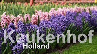 Keukenhof Garden 2014 01  eine wunderbarer Blumenshow der Niederländer  einzigartig [upl. by Velick]