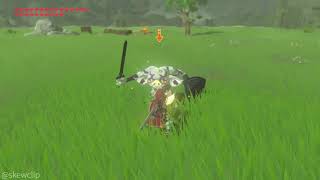 Shield Block ResetThunderclap Rush practice Breath of the Wild advanced combat [upl. by Eggleston]