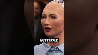 Ameca vs Sophia The Battle of the AI Robots Which is Better [upl. by Judenberg]