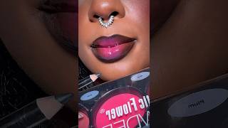 Using blush powder for my lips ❤️💕 lipcombotutorial lipmakeup lipcombo [upl. by Sikleb]