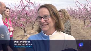 Floración de Cieza · Reportaje de TVE · 2023 [upl. by Aelanna]