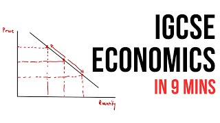 All of IGCSE Economics in 9 minutes summary [upl. by Asiled97]