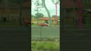 Steamrails ReturnMorwell Rose Festival steam victoria shorts shortvideo train travel views [upl. by Cherie]