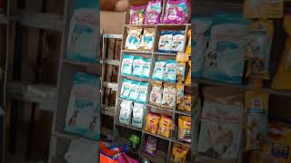 dog feed dog food reel viral viralvideo video trending royal canin durin focus feedshorts [upl. by Shanks319]